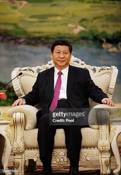 Chinese Vice-President Xi Jinping meets with Egyptian President Mohamed Morsi in the Great Hall of the People on August 29, 2012 in Beijing, China....