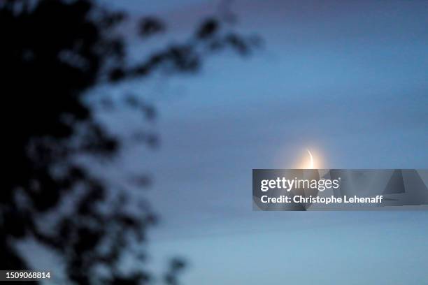 the crescent moon from lac du der, france - marne stock pictures, royalty-free photos & images