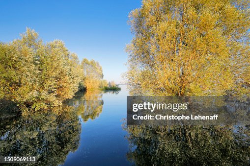 The Lac Du Der France HighRes Stock Photo Getty Images