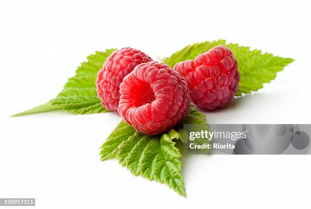 raspberries con tres hojas de color verde sobre fondo blanco - raspberry fotografías e imágenes de stock