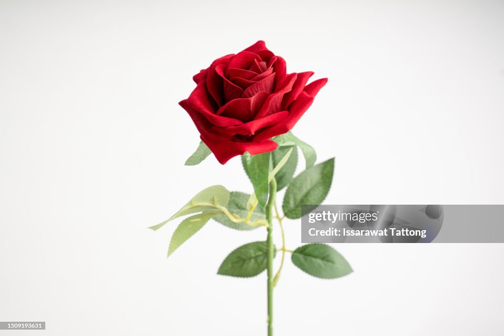 Fake bouquet with roses on a white background