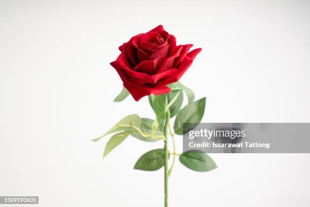 fake bouquet with roses on a white background - rosa foto e immagini stock