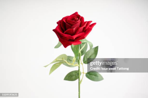 fake bouquet with roses on a white background - red roses stock pictures, royalty-free photos & images