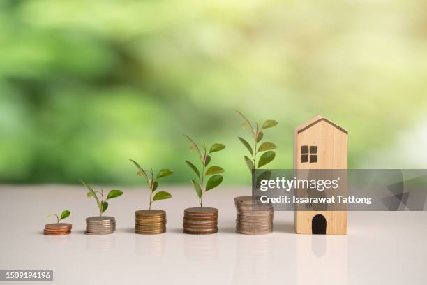 Family Money Tree Example 399 Family Money Tree Stock Photos, High-Res Pictures, and Images ...