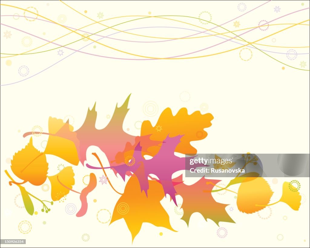 Elegant Autumn