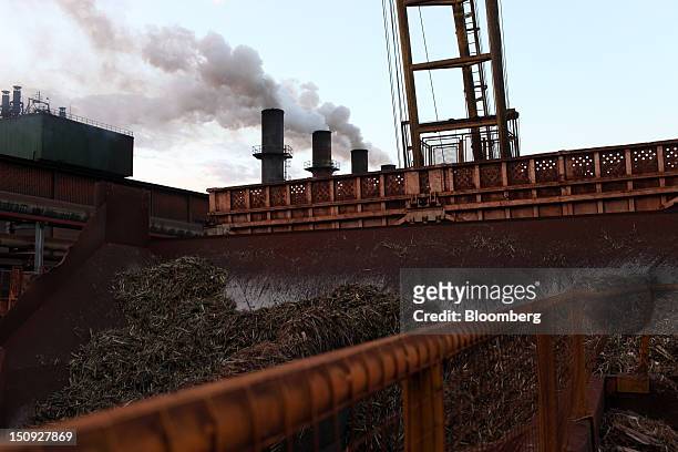 Sugarcane plants enter the mill as vapor steams out of the furnaces at Louis Dreyfus Commodities' Biosev Santa Elisa processing facility near...