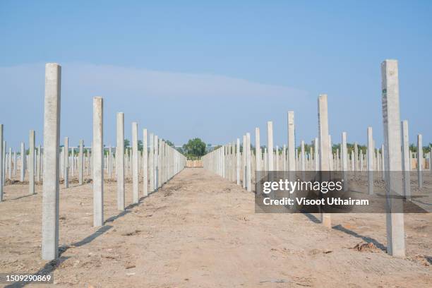 concrete pile load bearing piles of the tall building. - géographie physique photos et images de collection