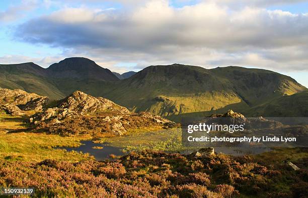 small tarn  on haystacks mountain - haystacks lake district stock pictures, royalty-free photos & images