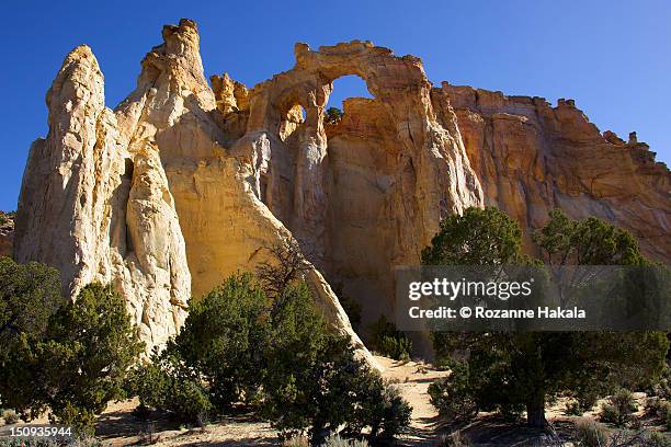 grosvenor arch - utah arch stock pictures, royalty-free photos & images