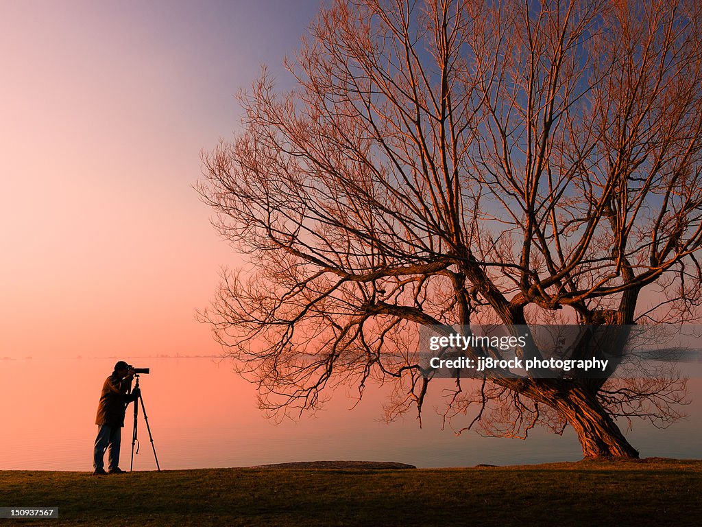 Photographer and tree