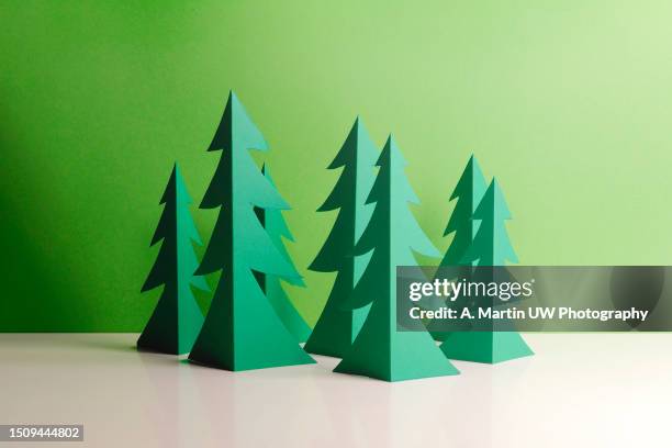green forest - tree carving stock pictures, royalty-free photos & images