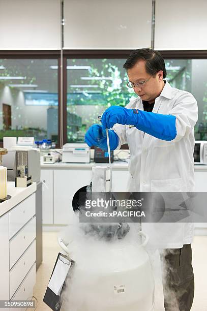 pulling samples from a dry ice storage - dry ice stock pictures, royalty-free photos & images