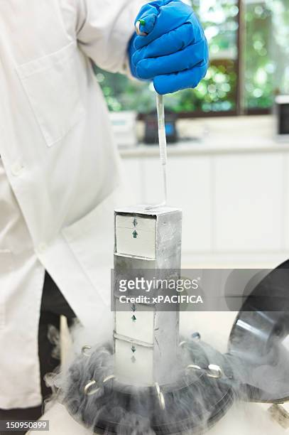 a scientist pulling samples from dry ice storage - dry ice storage stock pictures, royalty-free photos & images