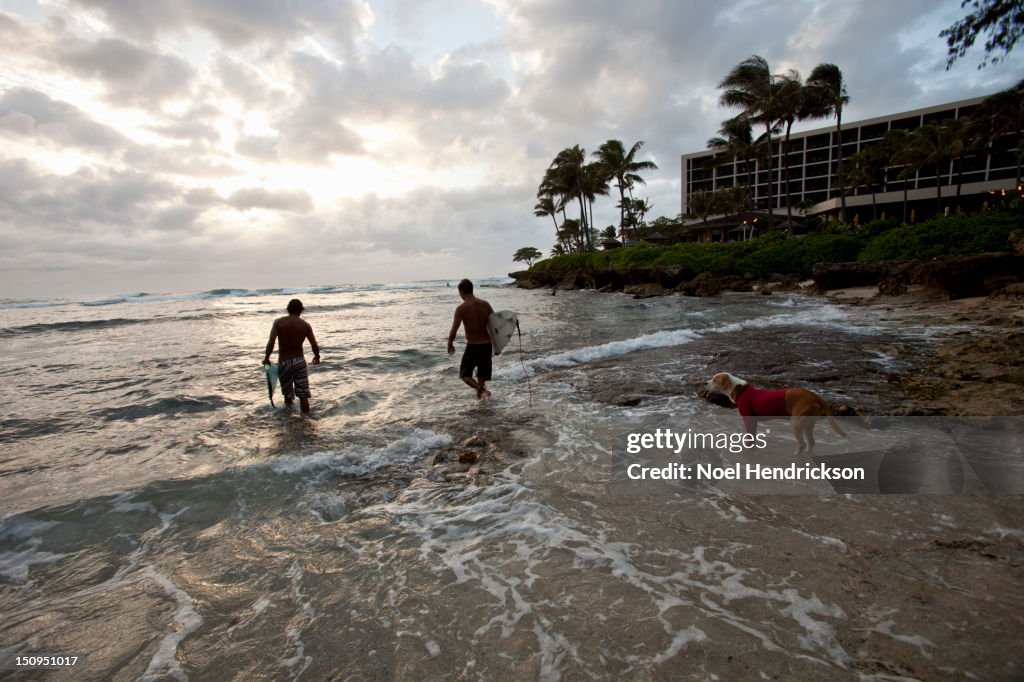 Surfers make their way out into the ocean