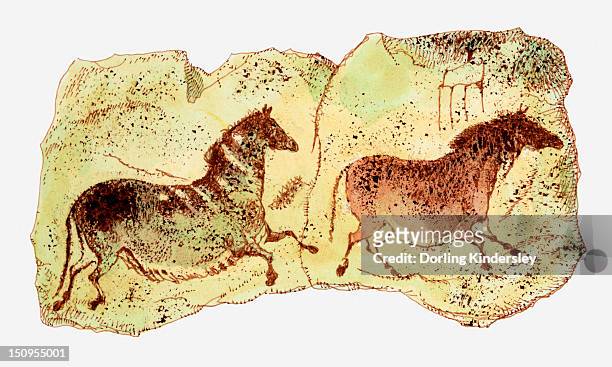 illustration showing cave paintings of two horses, lascaux, france - lascaux cave点のイラスト素材／クリップアート素材／マンガ素材／アイコン素材