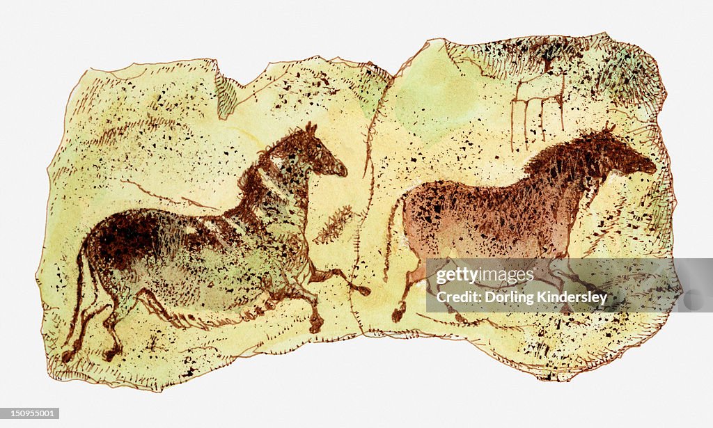 Illustration showing cave paintings of two horses, Lascaux, France