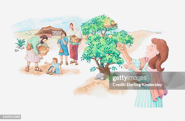 illustration of a bible scene, exodus 16, manna and quail, god provides meat and bread for the starving israelites in the desert - quail bird stock illustrations