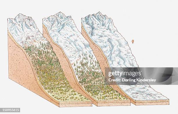 illustration of global snowlines, on the equator (mount kenya); the european alps, and in polar regions (mount vinson, antarctica) - vinson massif stock illustrations