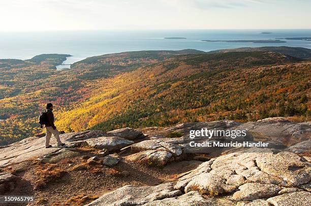 a hiker on a granite boulder cadillac mountain at sunrise. - insel mount desert island stock-fotos und bilder