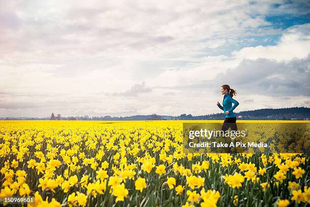 usa, washington, skagit valley, woman running through daffodil field - daffodil field 個照片及圖片檔