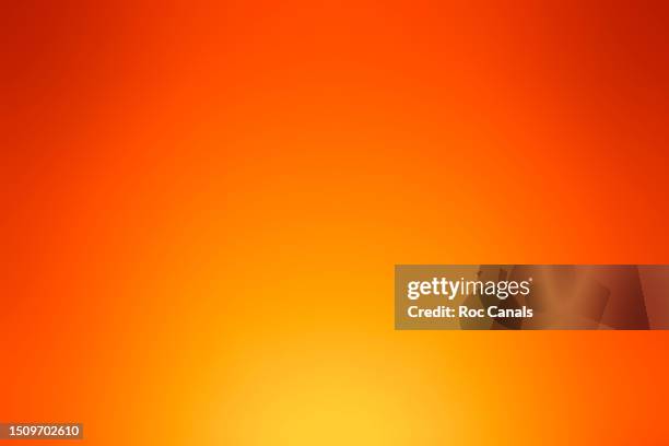 Orange Glow Orange Glow