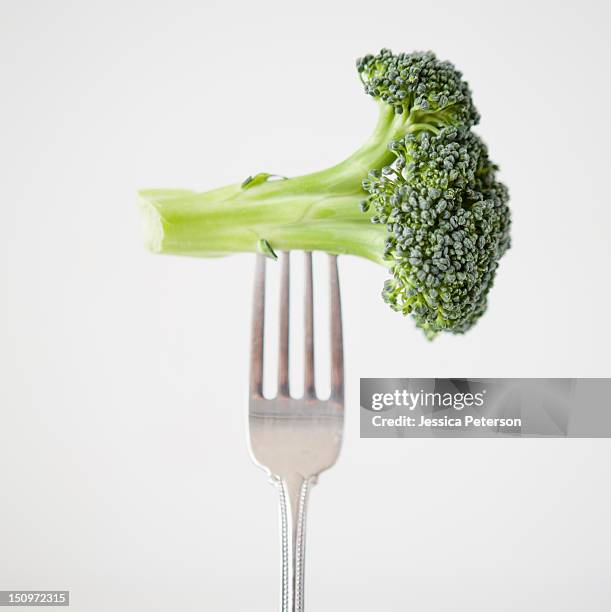 broccoli on fork, studio shot - broccoli white background stock-fotos und bilder