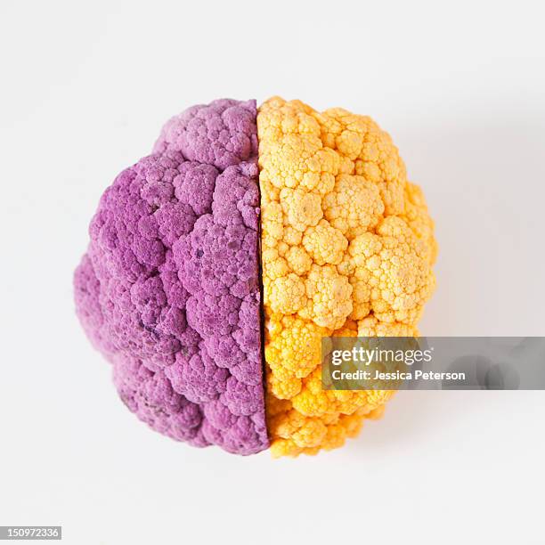 yellow and purple cauliflower, studio shot - brain segment stock-fotos und bilder