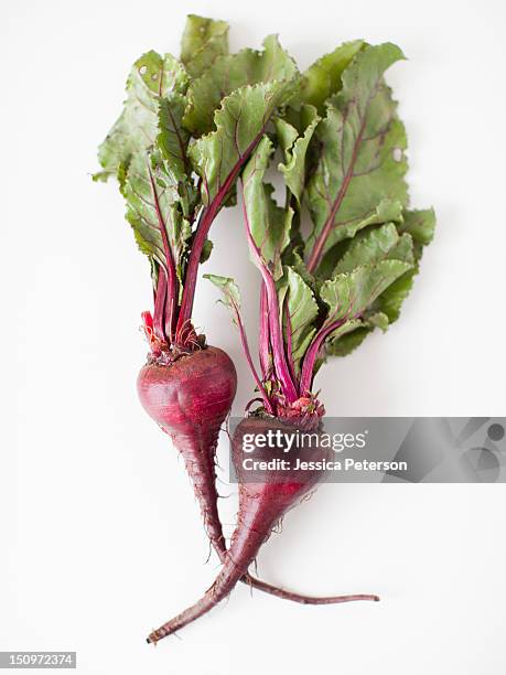 beetroots on white background, studio shot - beterraba tubérculo imagens e fotografias de stock