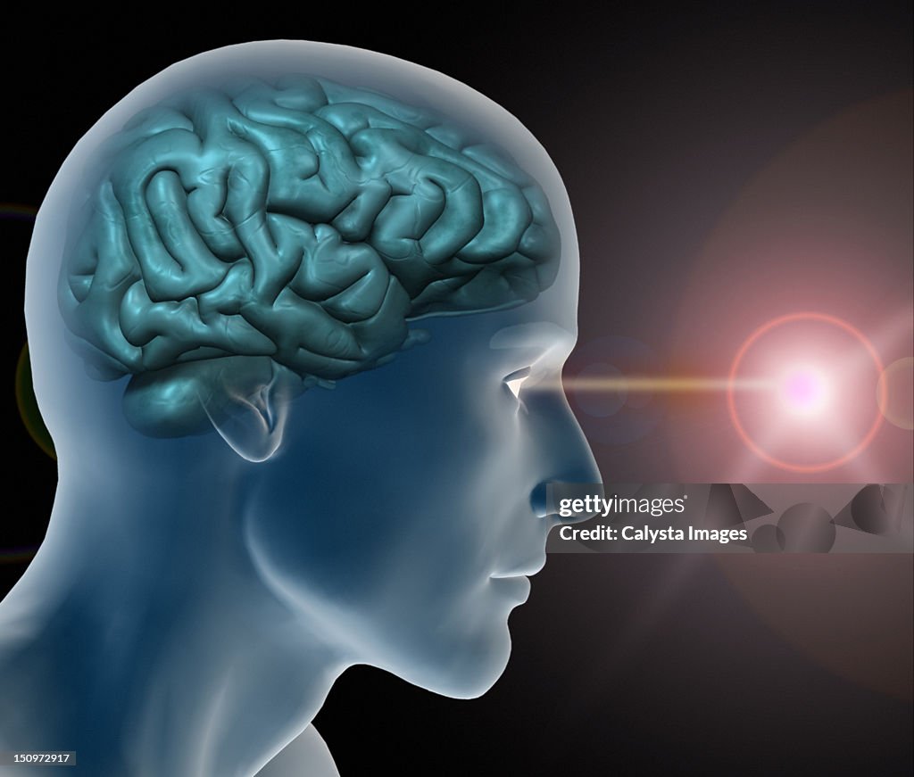 Conceptual image of human brain