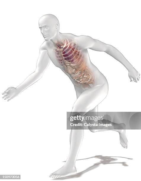 Human Running Graphical Image Digitally Generated Image Of Running Human Representation With Inner ...