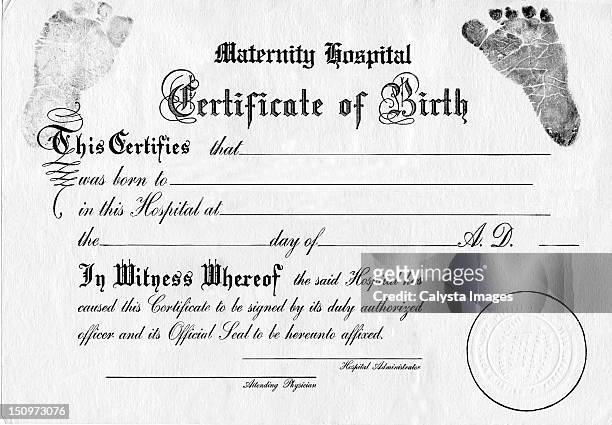 studio shot of certificate of birth - birth certificate stock pictures, royalty-free photos & images