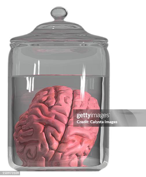 studio shot of brain in decanter - brain in a jar stock pictures, royalty-free photos & images