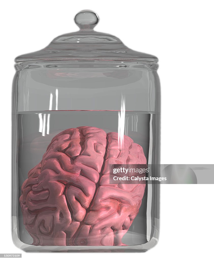 Studio shot of brain in decanter