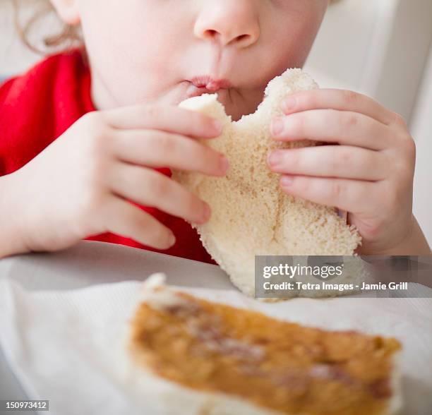 usa, new jersey, jersey city, girl (2-3) eating sandwich - toddler eating sandwich stock pictures, royalty-free photos & images