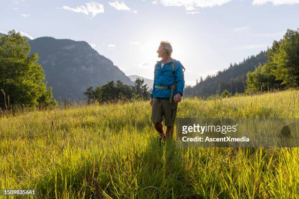 senior hiker explores mountain meadow - canadian senior men stock pictures, royalty-free photos & images