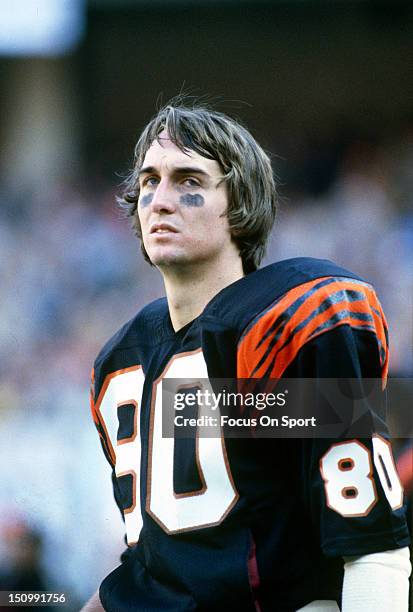 Wide Receiver Cris Collinsworth of the Cincinnati Bengals looks on from the bench during an NFL football game at Riverfront Stadium circa 1985 in...