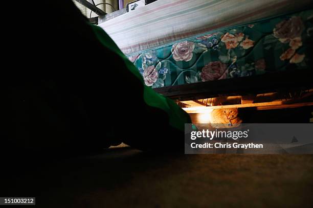 Wayne Fuselier finds his cat hiding under the bed after having to leave the house due to rising flood waters from Hurricane Isaac in the Indigo Lakes...