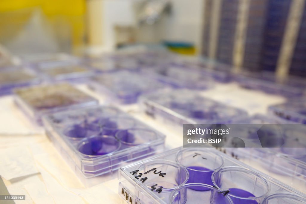 Virology Laboratory