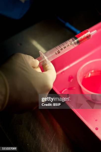 Ivf Syringe 219 Ivf Needle Stock Photos, High-Res Pictures, and Images - Getty Images