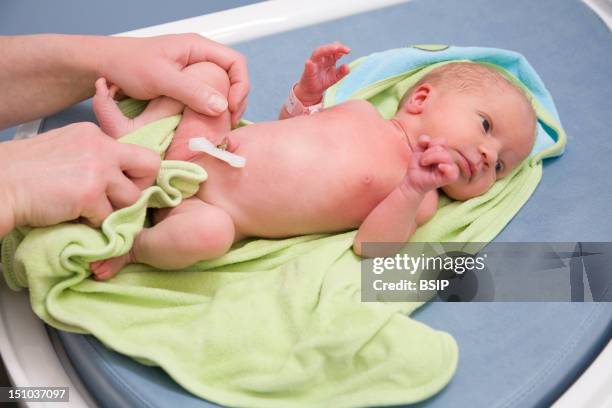 Photo Essay At The Maternity Of Saint Vincent De Paul Hospital, Lille, France. Washing Of The Newborn Baby.