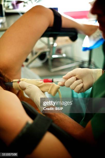 Injected Ivf 249 Injection Ivf Stock Photos, High-Res Pictures, and Images - Getty ...
