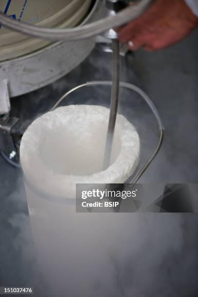 Liquid Nitrogen