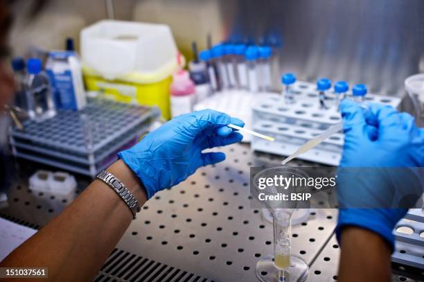 Ivf Lab Cook Ivf Lab Photos and Premium High Res Pictures - Getty Images