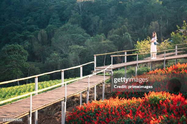 solo young asia gen z tourist wonderlust traveling in nature sustainability in rain forest enjoy his weekend - chiang rai province stock pictures, royalty-free photos & images