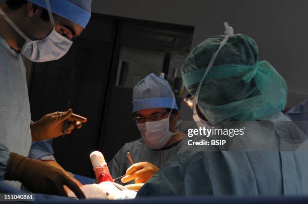 Emusculation 78 Emasculation Stock Photos, High-Res Pictures, and Images - Getty Images