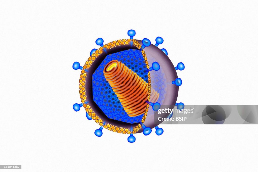 Aids Virus, Illustration