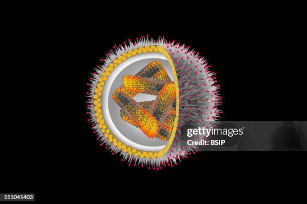 Influenza Virus. Interior Rna, Ribonucleoprotein Rnp, Nucleocapsid 8 Fragments Wrapped In Protein. Exterior Matrix Protein M Protein, In Grey, Peplos...