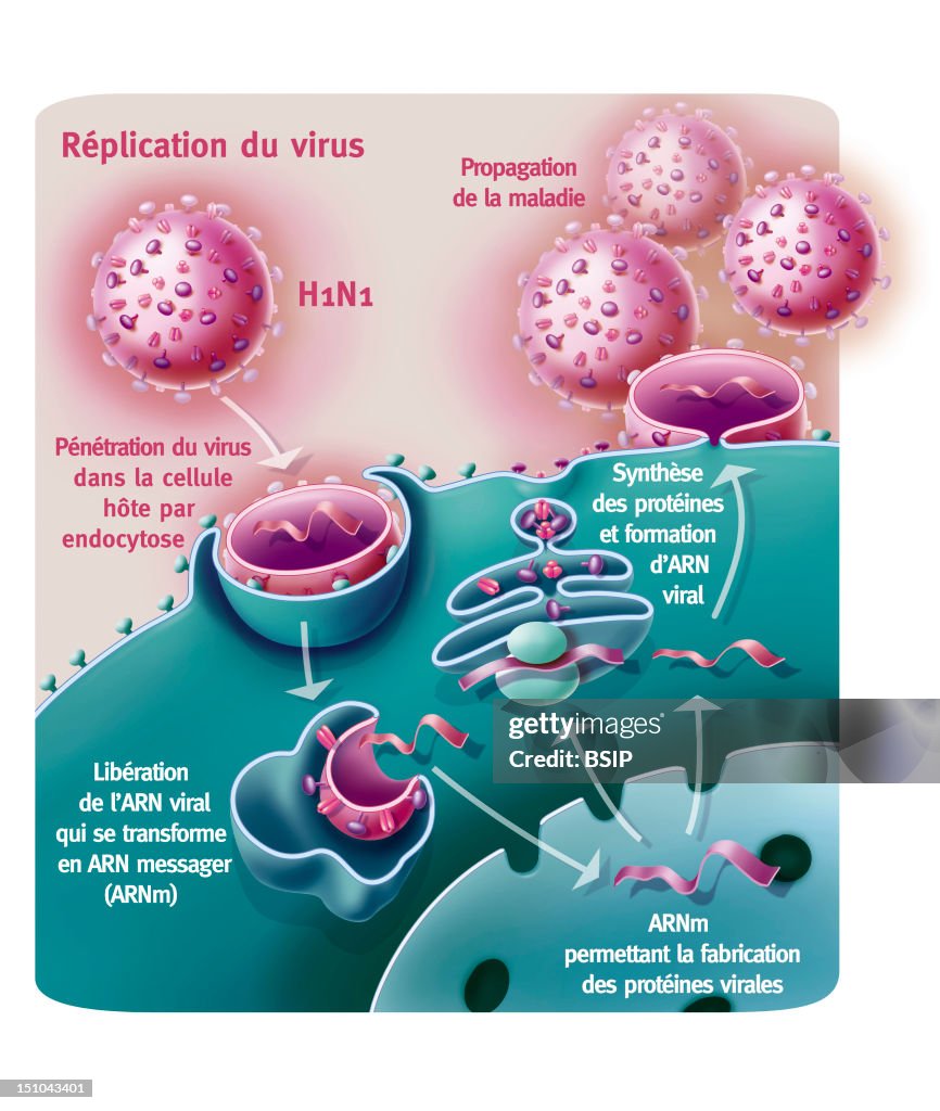 Influenza A H1N1 Infection