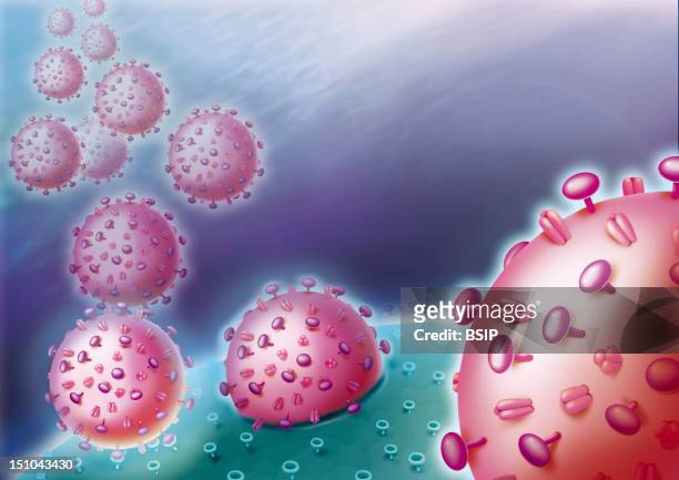 Viral Invasion. Representation Of The Invasion Of An Organism By Viruses In Pink. The Viruses Fix To The Surface Of The Host Cell In Bluish Green...