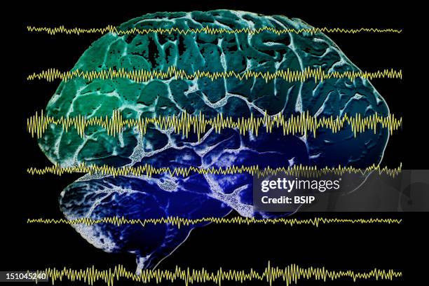 Brain, Drawing